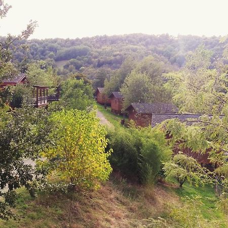 Вілла La Ferme Du Duzou Saint-Cyprien-sur-Dourdou Екстер'єр фото