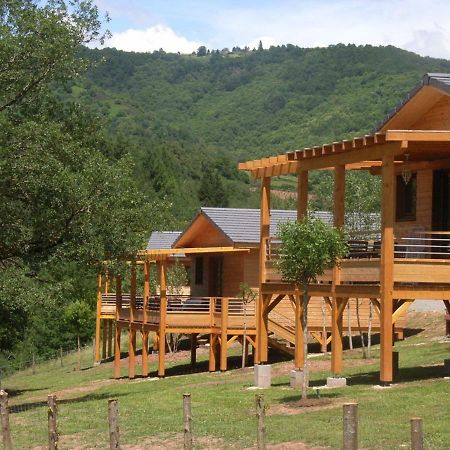Вілла La Ferme Du Duzou Saint-Cyprien-sur-Dourdou Екстер'єр фото