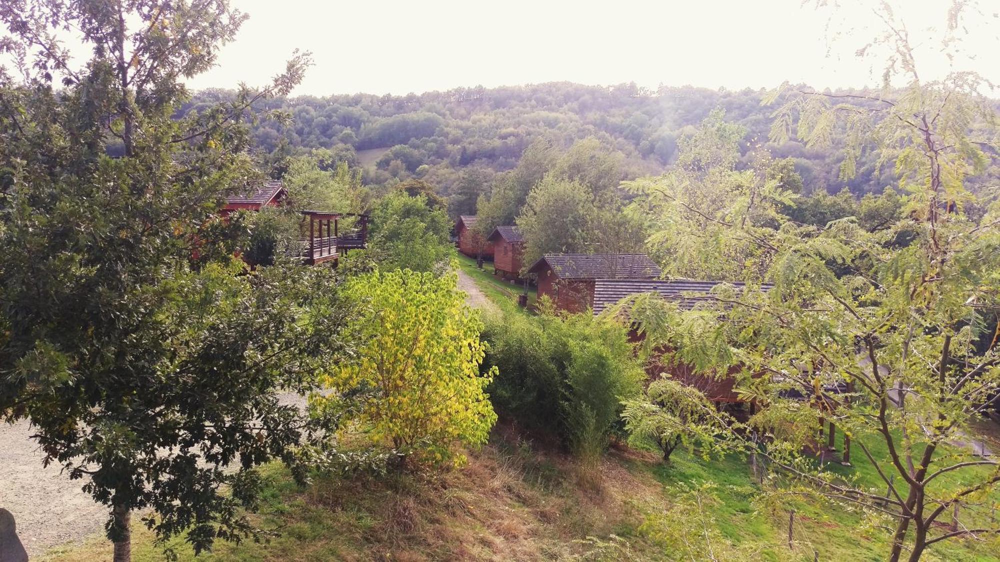 Вілла La Ferme Du Duzou Saint-Cyprien-sur-Dourdou Екстер'єр фото